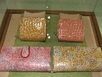 IMG_1489.jpg