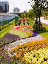Ｈ29花と緑のおもてなしイメージ.JPGのサムネイル画像